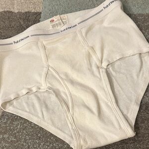Fruit of the Loom Men's Classic White Briefs